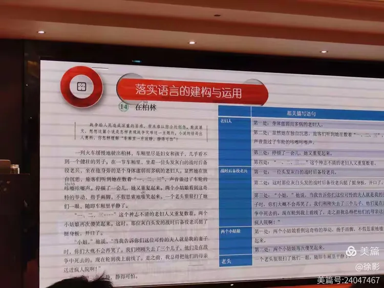 三字带头尾数七偷不成难蚀把米属于什么生肖，详细解答、综合解答解释落实