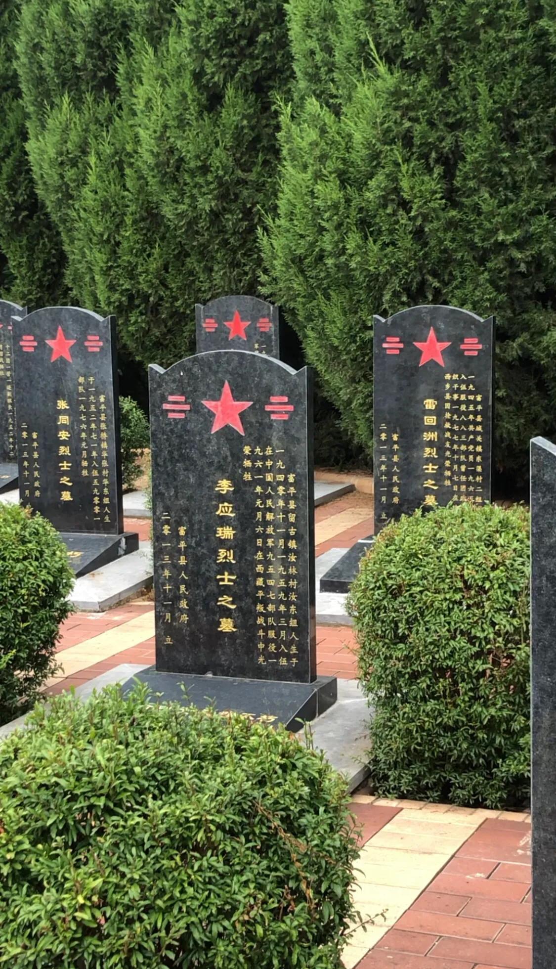 老懷安慰，飲水思源 一板三眼数九宫打一准确生肖的全面释义、解释与落实、时代解答解释落实