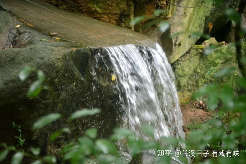 洞在清溪何处边是指什么生肖，详细解答、专家解答解释落实