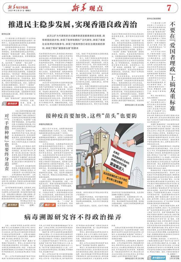 三字带头尾数七偷不成难蚀把米属于什么生肖，详细解答、综合解答解释落实