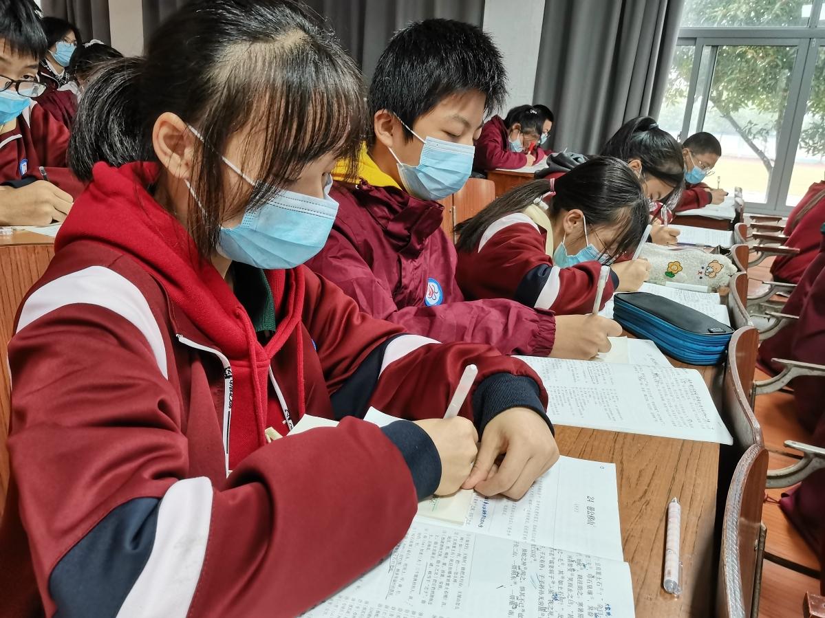 半夜偷盗农家菜,无人看守地挖光是什么生肖全面释义、构建解答解释落实
